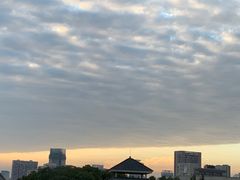 -四川大学(望江校区)