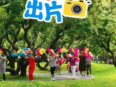 -四海公园(南山区)
