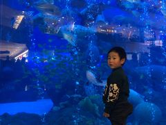 -成都浩海立方海洋公园