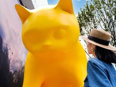 -深圳湾万象城(南山店)