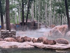 -北京野生动物园