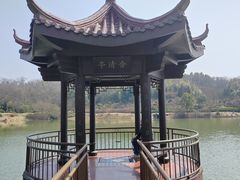 -宜兴龙背山森林公园
