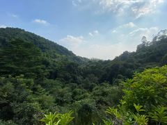 -火炉山森林公园