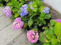 -鼓楼(西湖风景名胜区)