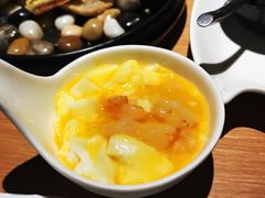 海皇琼脂豆腐-梧桐