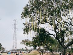 -长洲岛都市农业公园
