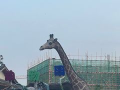 -观澜山水田园