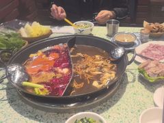 -五里关火锅(牛市口店)