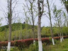 -狼山风景名胜区