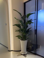 点击看大图 -悦色嘉丽科技美肤健康管理