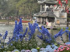 -荔湾湖公园