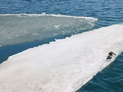 -蜜糖海滩