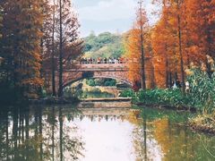 -云溪植物园
