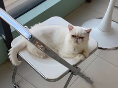-怪兽屋·羊驼·猫咖·狗咖(俊华广场店)