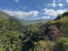 -霸王岭国家森林公园
