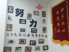 -宠福鑫动物医院(城北分院)