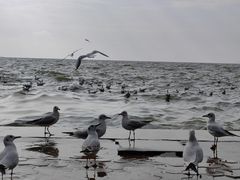-滇池海埂公园