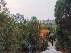 -南翠屏公园
