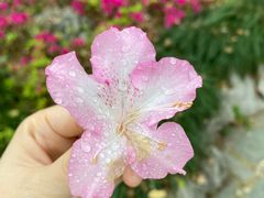 -蕃茄田艺术(普陀长风大悦城中心)