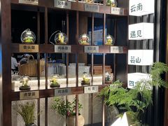 -芸山季·云南野生菌火锅(人民广场来福士店)