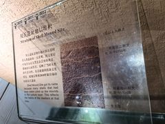 -烟台市博物馆