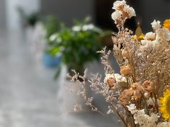 -自如ZSPACE四合院艺术餐厅