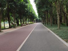 -南宁南湖公园