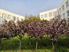 -苏州城市学院