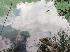 -宗角禄康公园