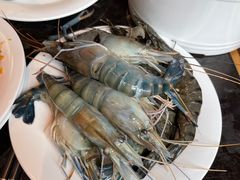 -川骄海鲜自助(亚运村店)