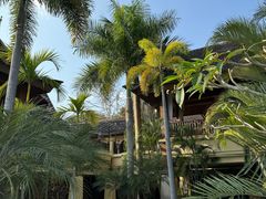 -西双版纳安纳塔拉度假酒店