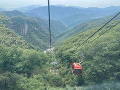 -牛背梁国家森林公园