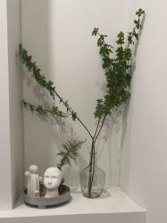 -VE专注问题肌·赛诺龙&科学美肤中心