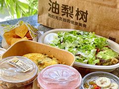 -油梨树AVOCADO TREE(望京店)