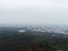-紫金山天文台