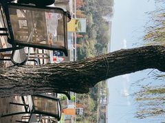 -仙海旅游度假区