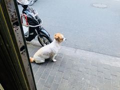 -古徽州馄饨店(宝安路店)