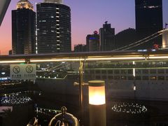 竹笙椰子鸡-润园四季椰子鸡火锅(海上世界店)