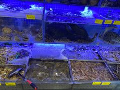 -77号渔船·蒸海鲜青岛菜(积米崖店)