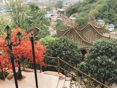 -枇杷园食为鲜火锅(南山店)