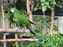 -南宫五洲植物乐园