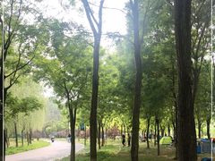 -东郊湿地公园