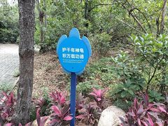 -广东惠东海龟国家级自然保护区