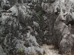 -千岛湖石林