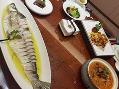 -鲁宴·鲁煨黄河生态大鲤鱼(月坛店)