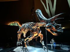 -墨尔本博物馆(Melbourne Museum)