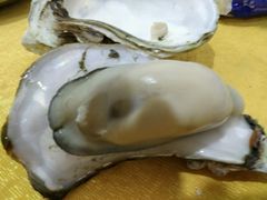 -蚝专家(北滘店)