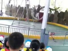 -泉州海丝野生动物世界