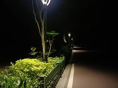 -金鸡山公园