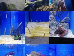 -多彩贵州城极地海洋世界